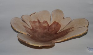 Dave Gibbard 25 (2nd)