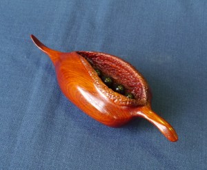 Dave Simpson, 3rd place, Pea pod